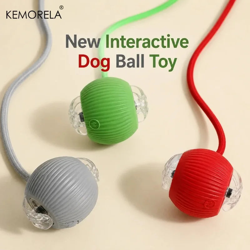 KEMORELA Automatic Rolling Ball Toy for Dogs & Cats Interactive Dog Toy SPOT