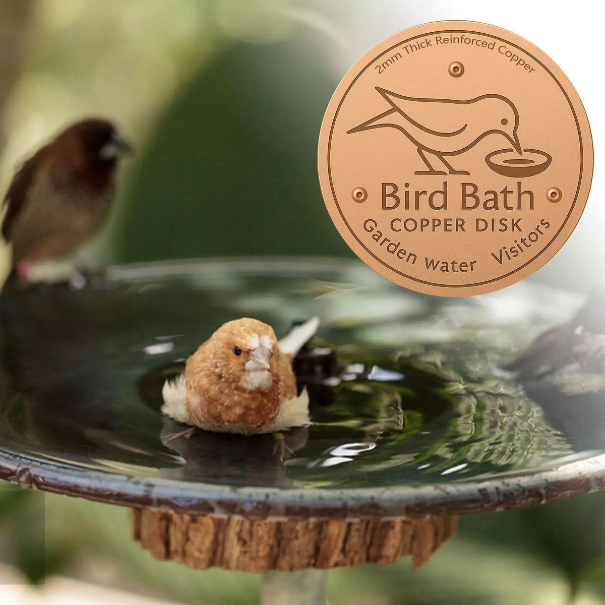 Copper Bird Bath Purifier Disk – Triple-Point Cleaner Tray Bird Bath Accessory SPOT