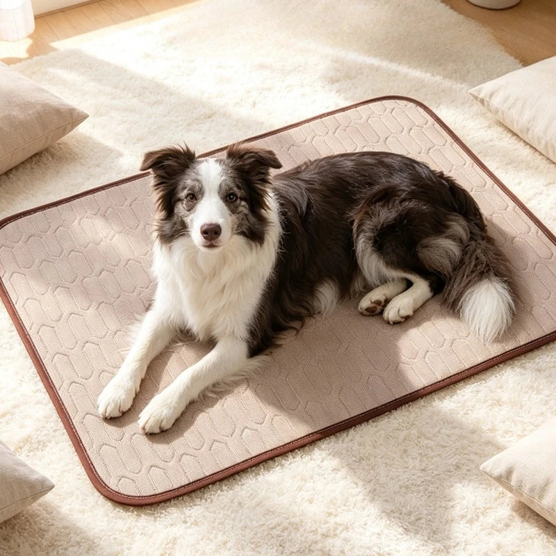 Cooling Summer Pet Mat – Breathable Washable Pad for Dogs & Cats Pet Cooling Mat SPOT