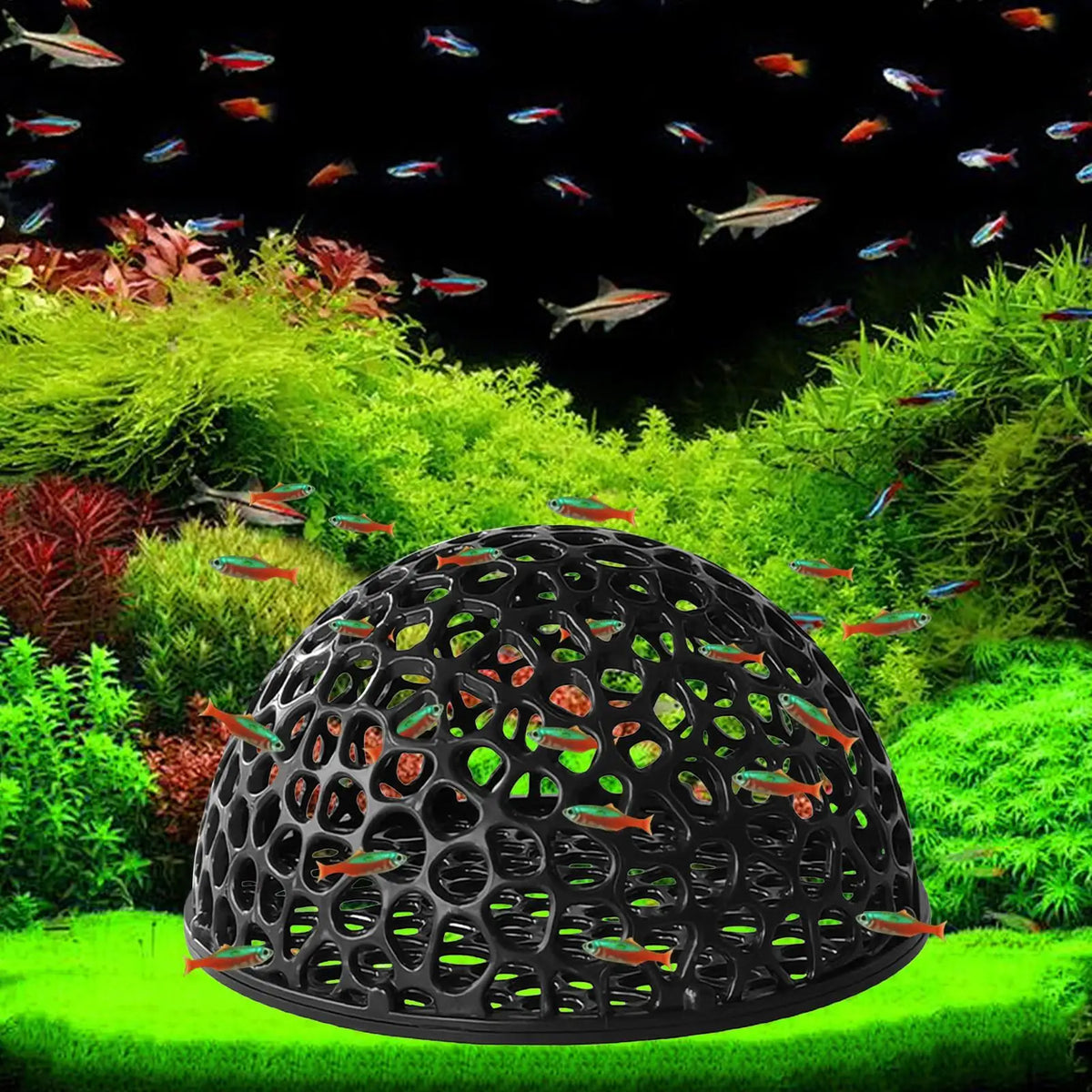 Shrimp Cave Hollow Betta Habitat Aquarium Hideout Ornament Aquarium Hideout Ornament SPOT