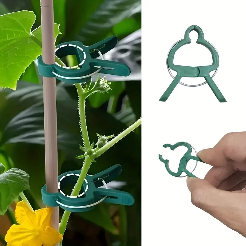 20-Pack Adjustable Plant Support Clips – Reusable Vine Fasteners Plant Support Clips SPOT