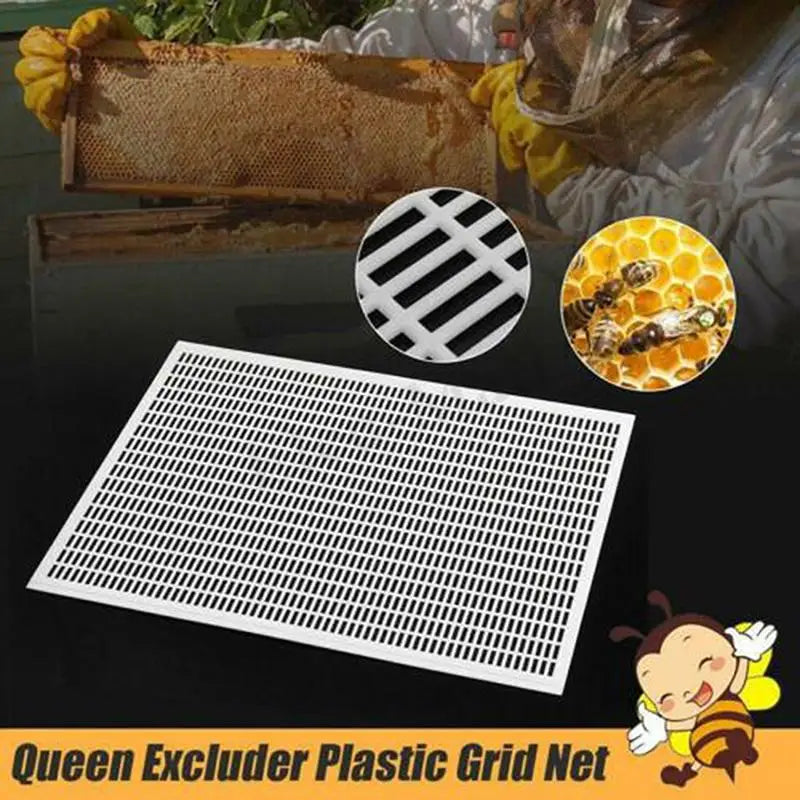 Queen Bee Excluder 42x51cm – Food-Grade Plastic | Beekeeping Queen Bee Excluder SPOT