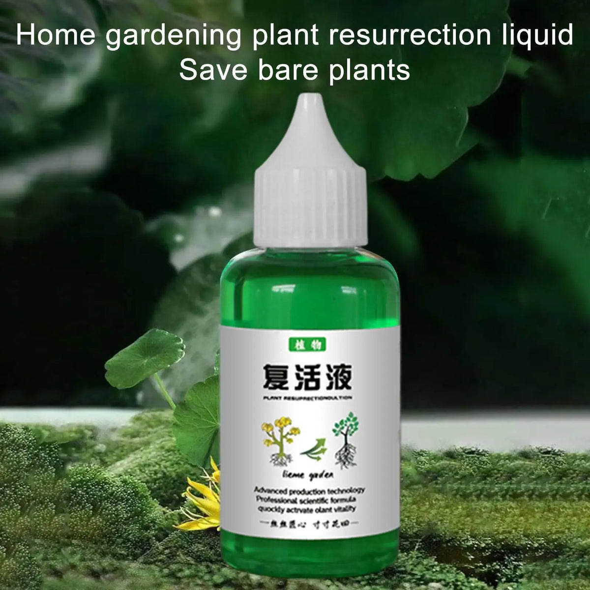 Root Stimulator Liquid 50ml – Plant Revitalizer & Root Booster Liquid Plant Fertilizer SPOT 50ML