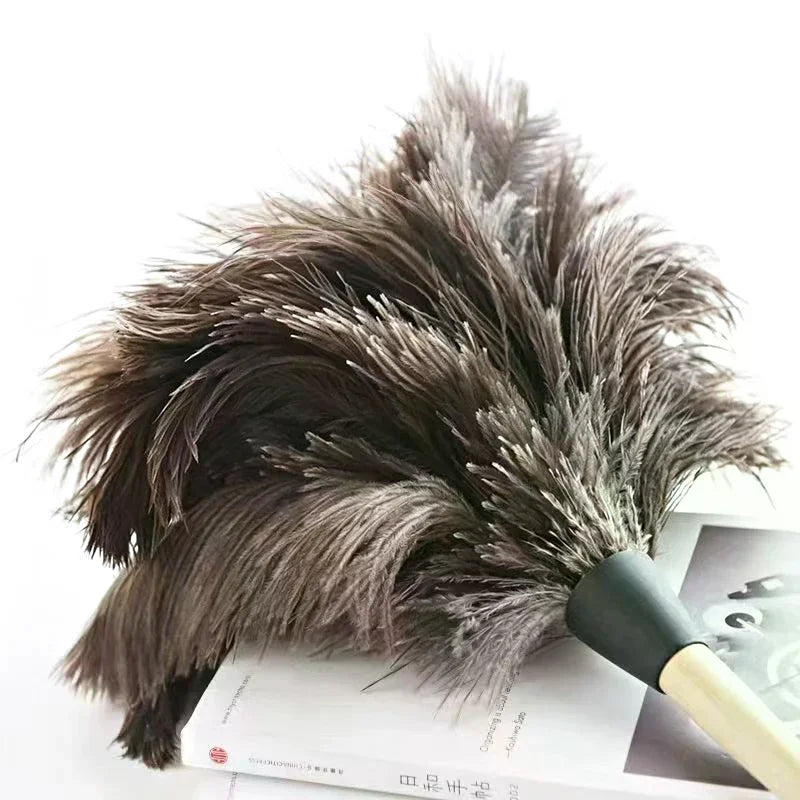 Ostrich Feather Duster – Anti-Static Wood Handle Duster Feather Duster SPOT