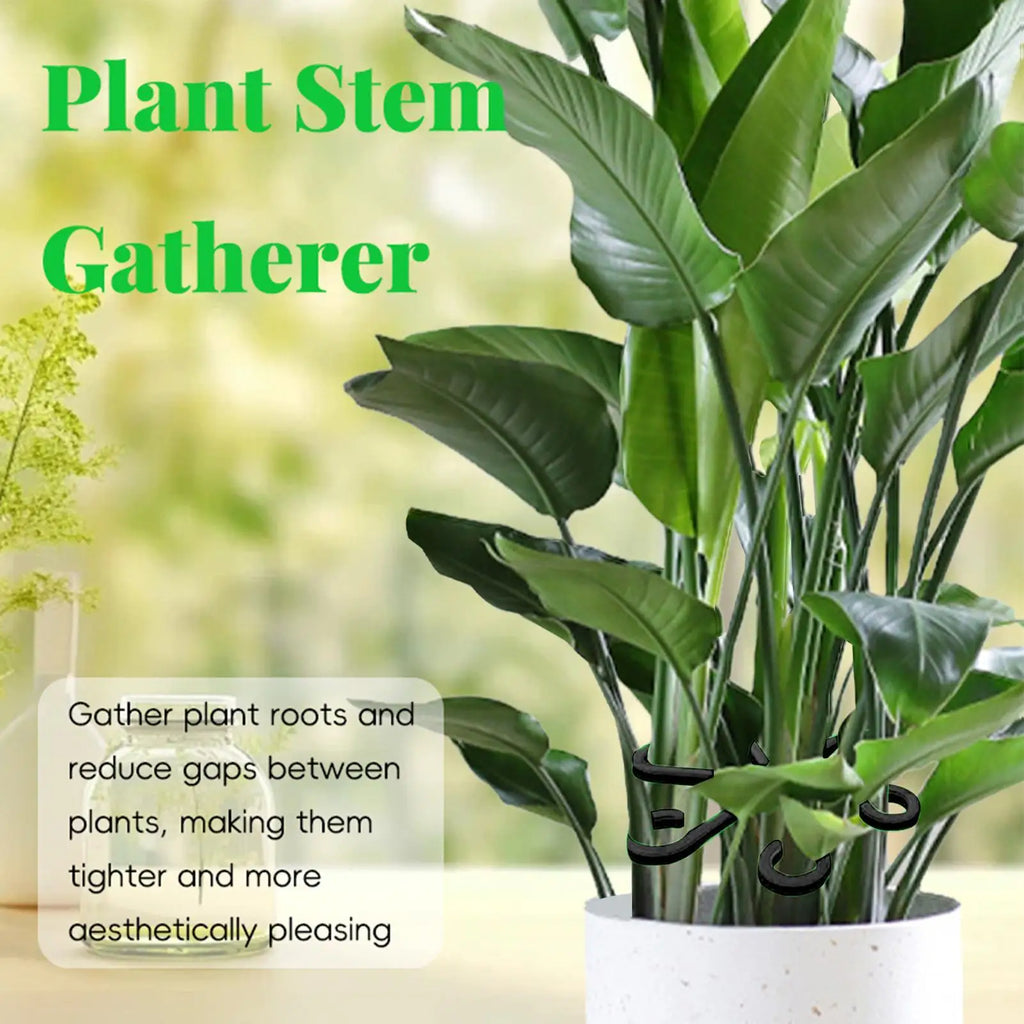 4-Pack Climbing Plant Support Clips for Monstera & Vines Plant Support Clips SPOT