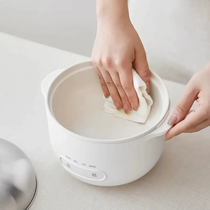 DUTRIEUX 1L Mini Rice Cooker – Stainless Steel 500W Mini Rice Cooker SPOT