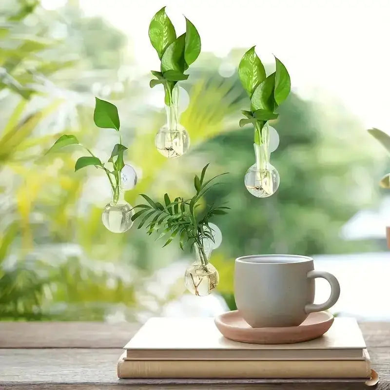 Mini Wall-Mounted Hydroponic Propagation Vases – Set of 2/3/4 Hanging Propagation Vase SPOT