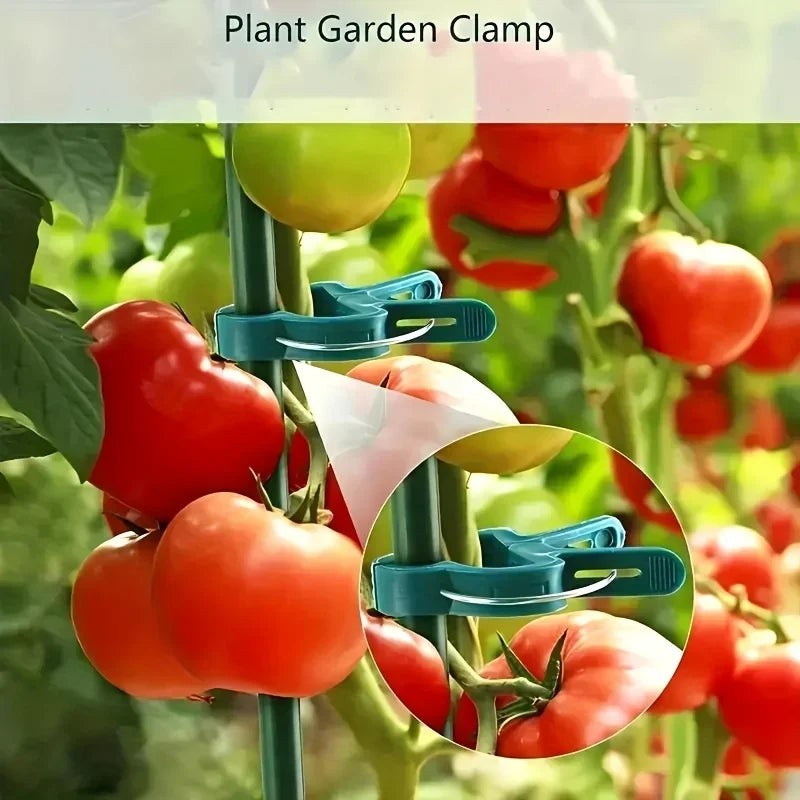 20-Pack Adjustable Plant Support Clips – Reusable Vine Fasteners Plant Support Clips SPOT