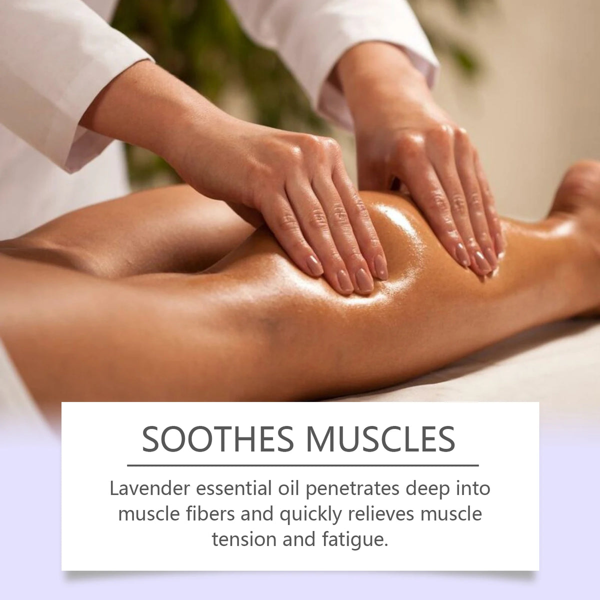 OceAura Lavender Body Massage Oil – Moisturizing & Relaxing Body Massage Oil SPOT