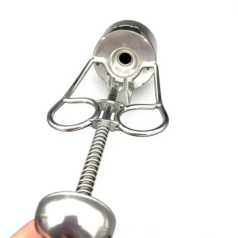 304 Stainless Steel Date Pitter & Fruit Core Remover Tool Fruit Pitter Tool SPOT