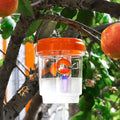 Clear Outdoor Insect Trap – Fruit Fly & Wasp Catcher with Lid Outdoor Insect Trap SPOT Orange