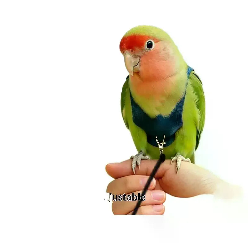 Cowboy Style Adjustable Parrot Harness & Leash Set Bird Harness Leash SPOT