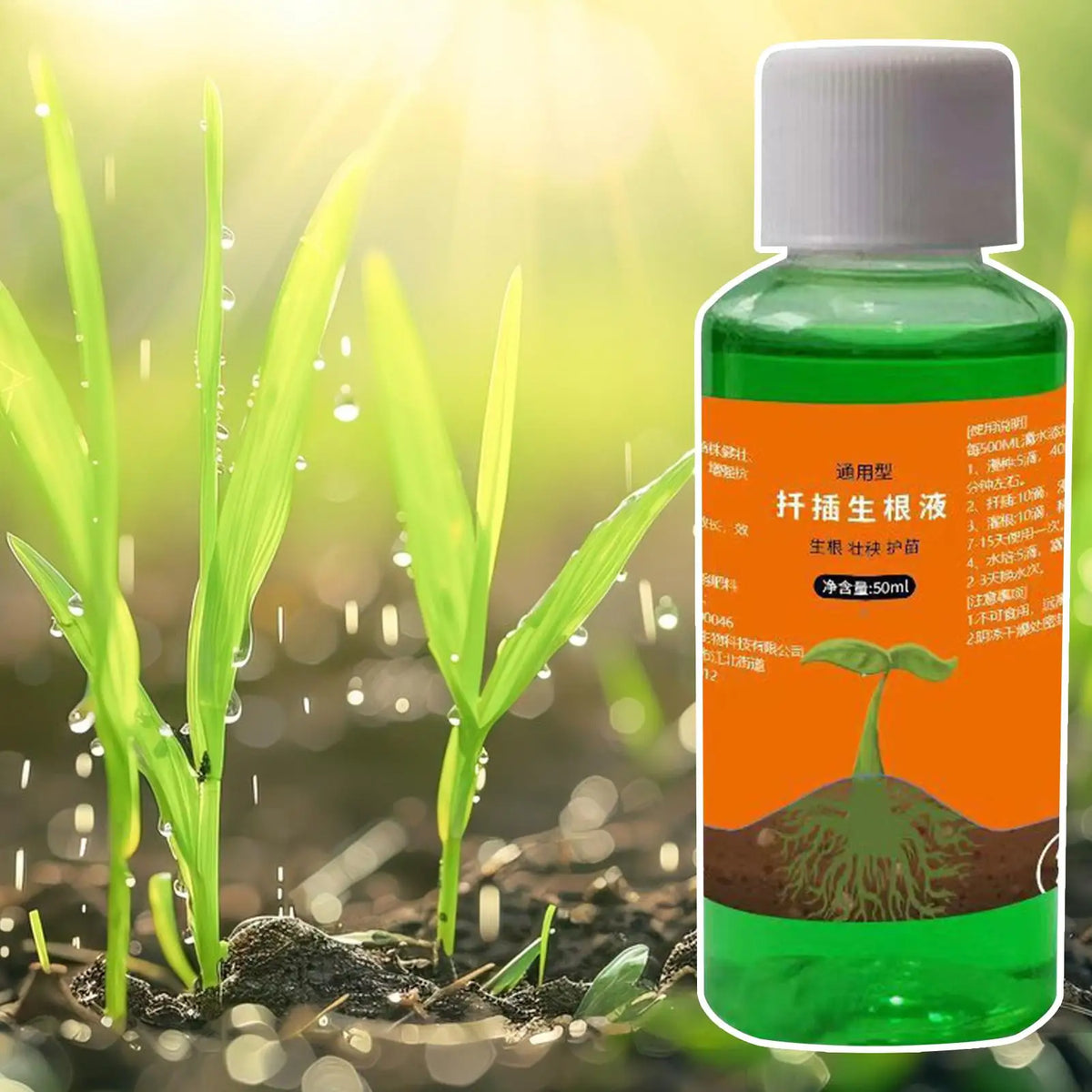50ml Plant Rooting Liquid – Root Stimulator for Cuttings & Growth Plant Rooting Stimulator SPOT