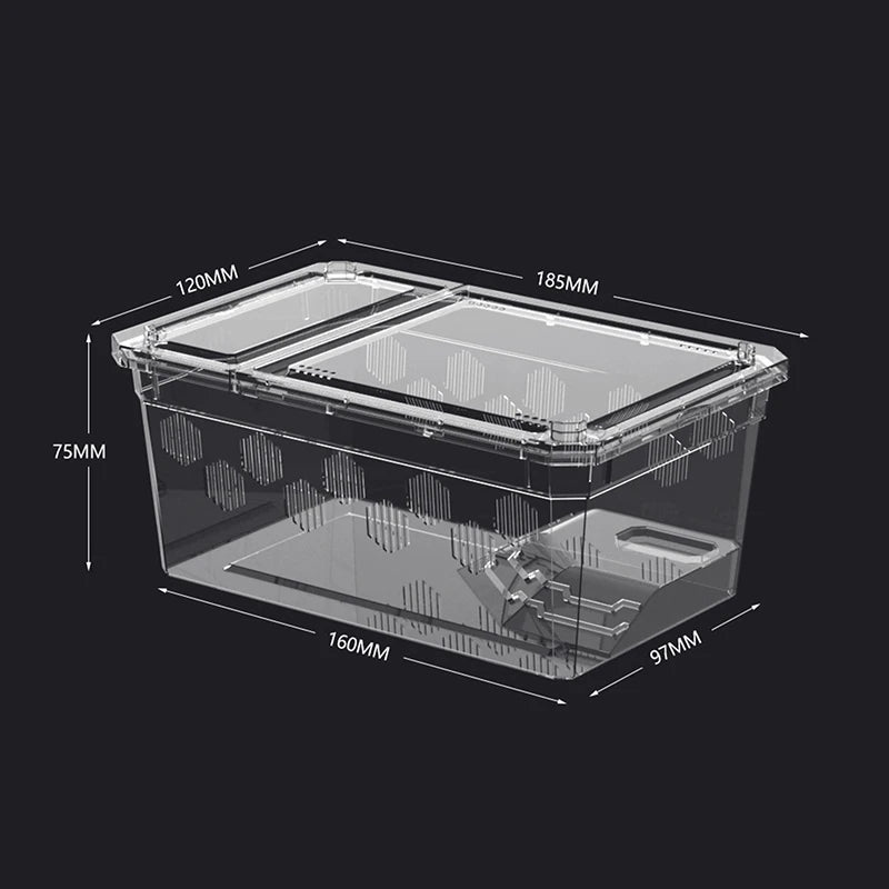 Transparent Reptile Breeding Box Vivarium with Climbing Platform Reptile Vivarium SPOT A2