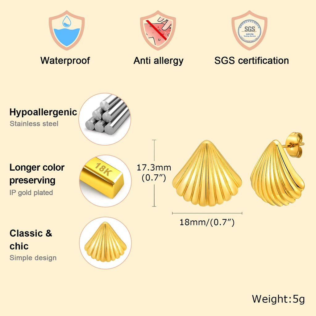 Minimalist Shell Stripe Gold Stud Earrings – Hypoallergenic Stud Earrings SPOT