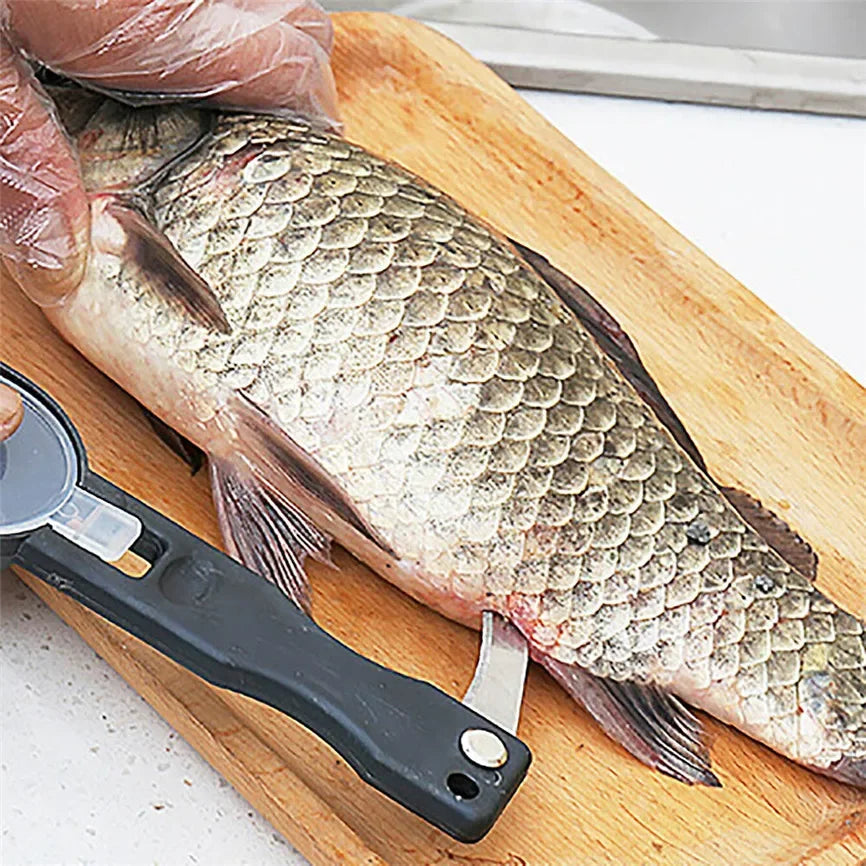 Fish Scale Remover & Scraper – Stainless Steel Kitchen Tool Fish Scale Remover SPOT