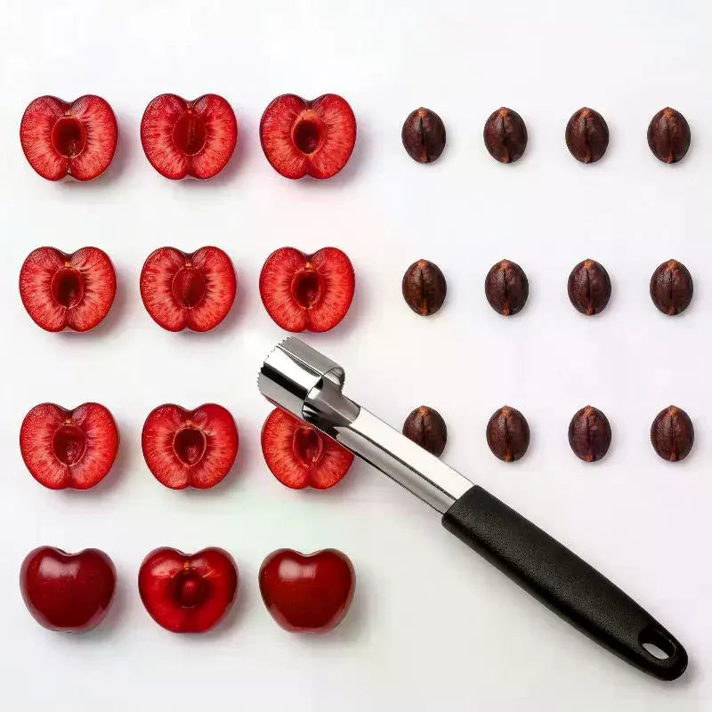 Stainless Steel Fruit Corer with Non-Slip Handle | Apple & Pear Fruit Corer Tool SPOT