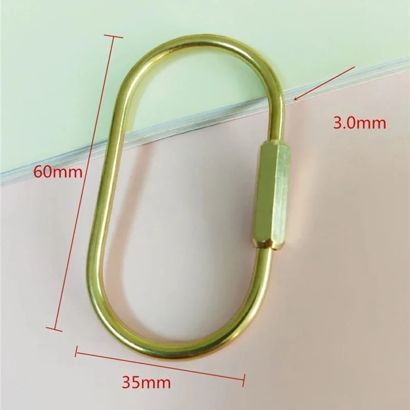 Brass D-Ring Screw Lock Keychain – EDC Key Organizer Screw Lock Keychain SPOT