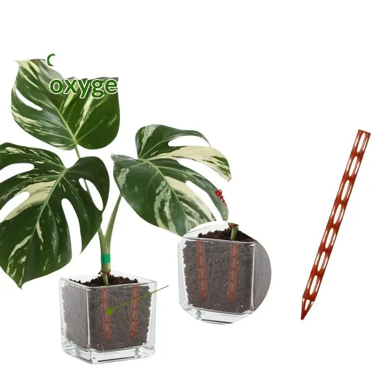 Plant Root Ventilation & Drainage Tubes – 5/10/20 Pack Garden Drainage Tubes SPOT