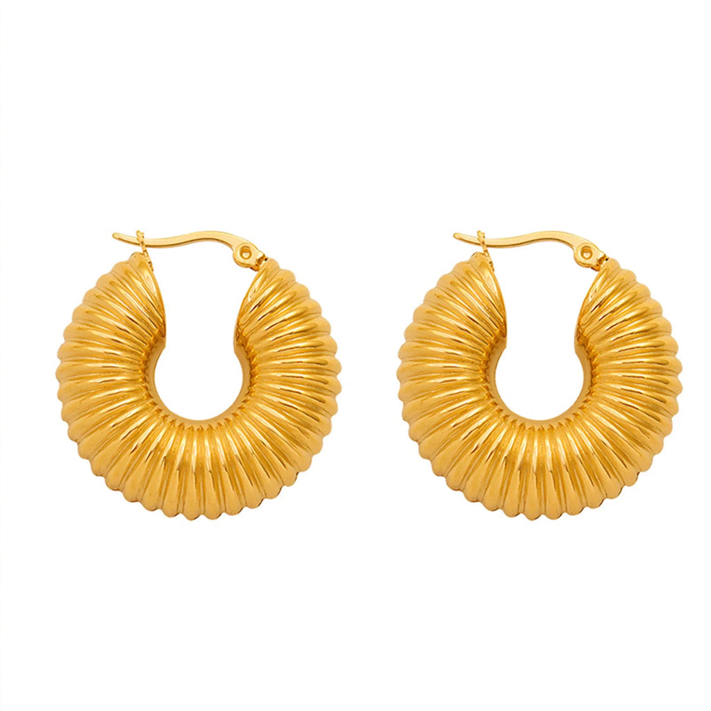 Meaeguet Chunky Gold Stainless Steel Hoop Earrings for Women Hoop Earrings SPOT Default Title