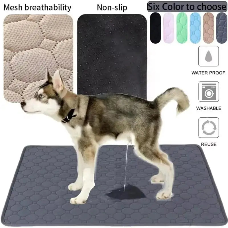 Washable Reusable Dog Training Pad – Absorbent Pet Mat & Cover Pet Training Mat SPOT