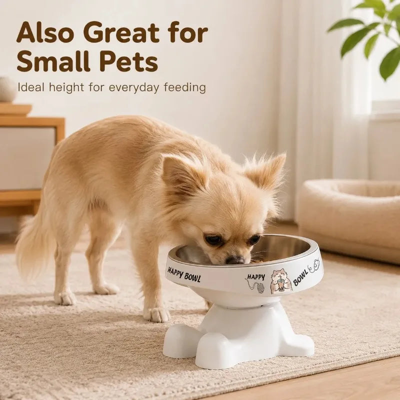 Elevated Stainless Steel Pet Bowl – Anti-Slip Cats & Dogs Elevated Pet Bowl SPOT