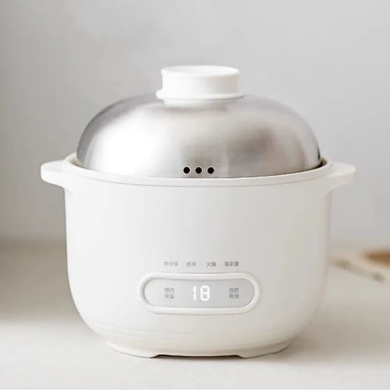 DUTRIEUX 1L Mini Rice Cooker – Stainless Steel 500W Mini Rice Cooker SPOT