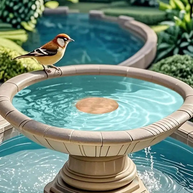 Copper Bird Bath Disk – Laser Etched Garden Marker & Decor Garden Bird Decor SPOT