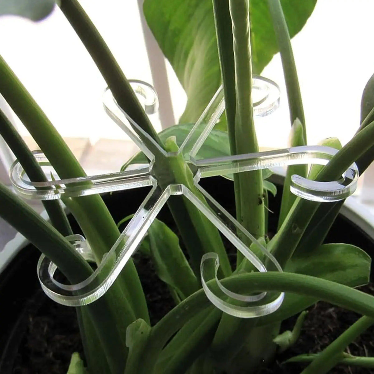 4-Pack Climbing Plant Support Clips for Monstera & Vines Plant Support Clips SPOT