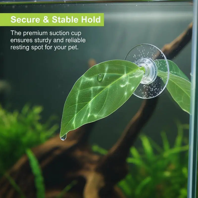 Leaf Reptile Basking Platform & Betta Fish Leaf Bed – Tank Decor Aquarium Leaf Platform SPOT