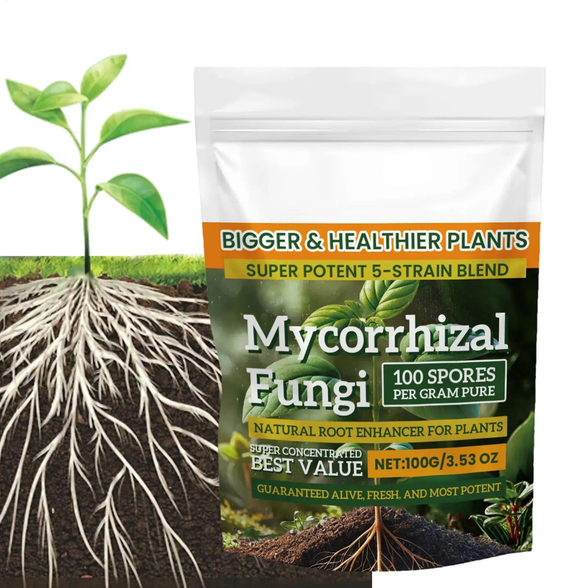 100g Humic Acid Root Booster Powder – Plant Growth Fertilizer Plant Growth Fertilizer SPOT 100g