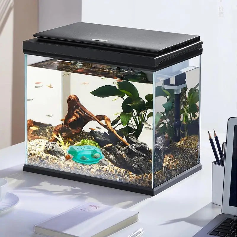 Transparent Aquarium Snail Catcher Trap – Easy Snail Remover Aquarium Snail Trap SPOT