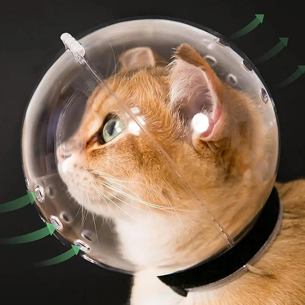 Cat Bubble Muzzle – Breathable Transparent Grooming Helmet Cat Grooming Muzzle SPOT