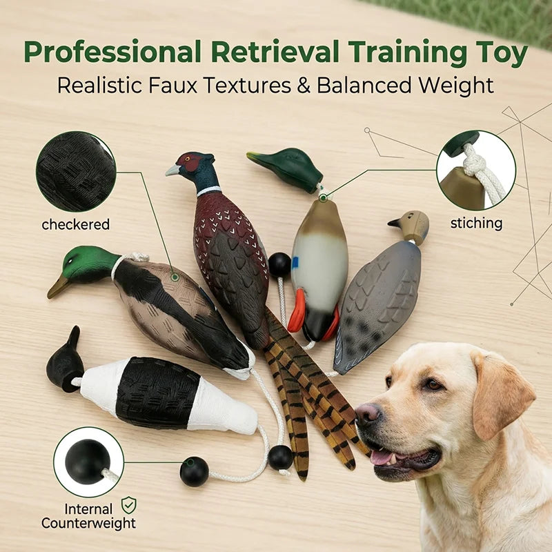 Realistic Duck Dummy Dog Training Toy – Floats on Water Dog Training Toy SPOT