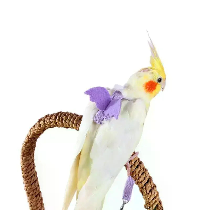 Parrot Flight Harness & Leash – Budgie, Cockatiel & Lovebird Bird Flight Harness SPOT