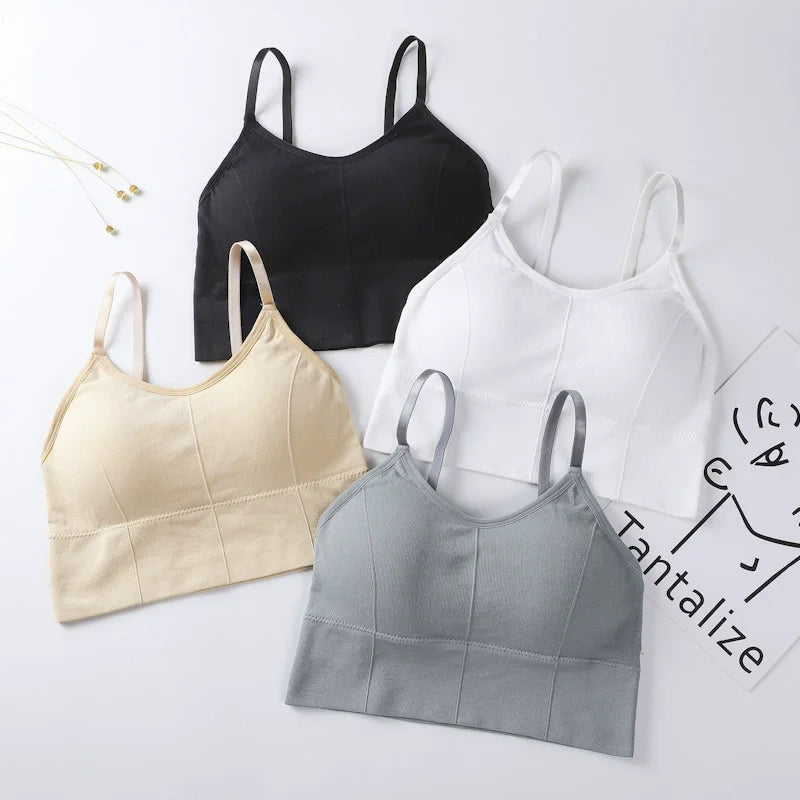 Women's Seamless Padded Sports Bra – Gym, Running & Fitness Sports Bra SPOT