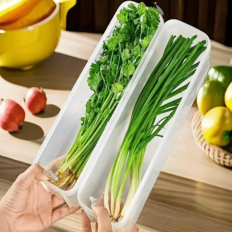 Transparent Sealed Refrigerator Food Storage Containers 1/2/4pc Food Storage Container SPOT