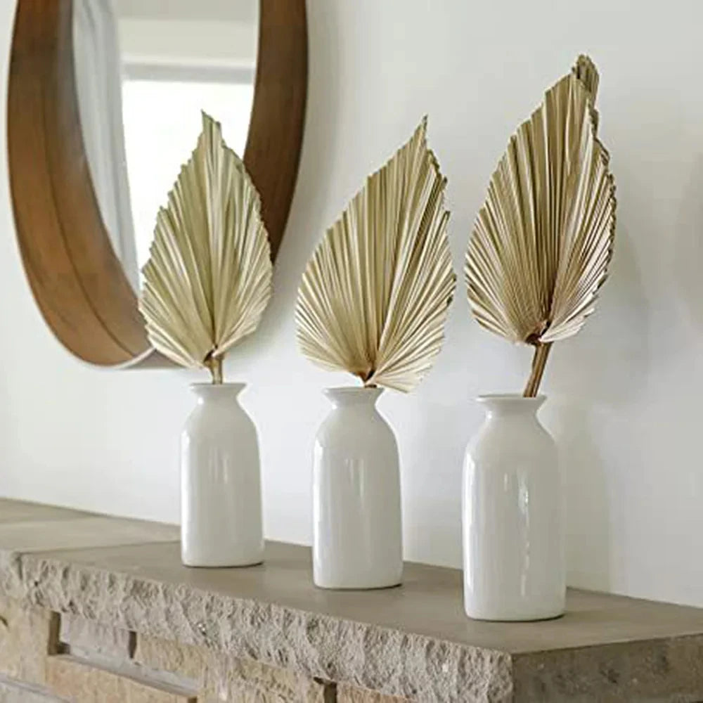 2-Pack Dried Palm Fan Leaves – DIY Wedding & Home Decor Dried Botanical Decor SPOT