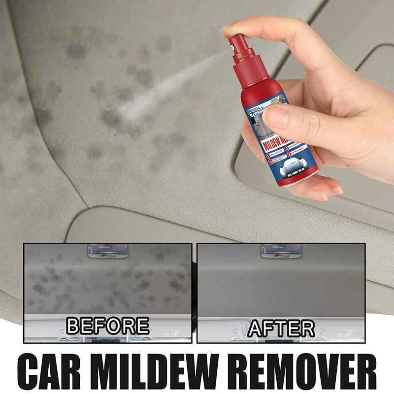 Car Interior Foam Cleaner – Upholstery, Dashboard & Vinyl Car Interior Cleaner SPOT