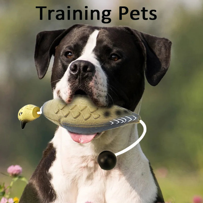 Realistic Duck Dummy Dog Training Toy – Floats on Water Dog Training Toy SPOT