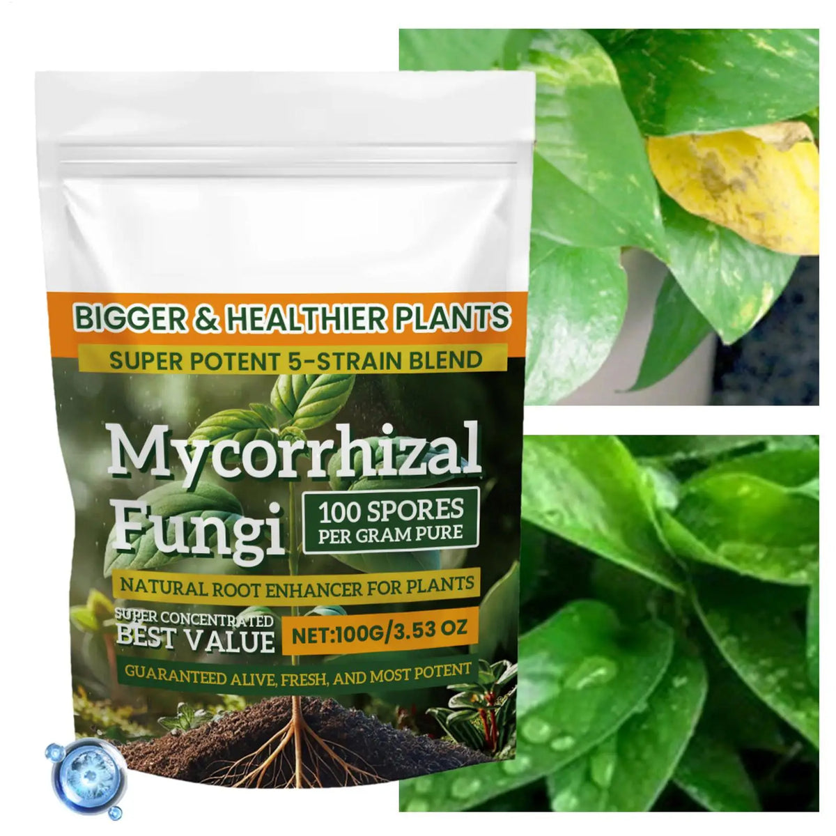 100g Humic Acid Root Booster Powder – Plant Growth Fertilizer Plant Growth Fertilizer SPOT