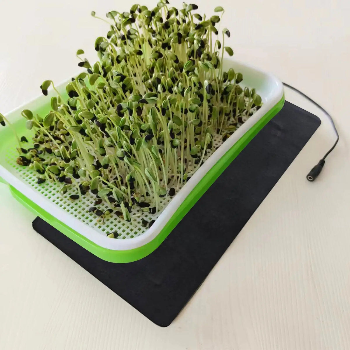 USB Seedling Heat Mat – Plant Germination & Propagation Pad Seedling Heat Mat SPOT