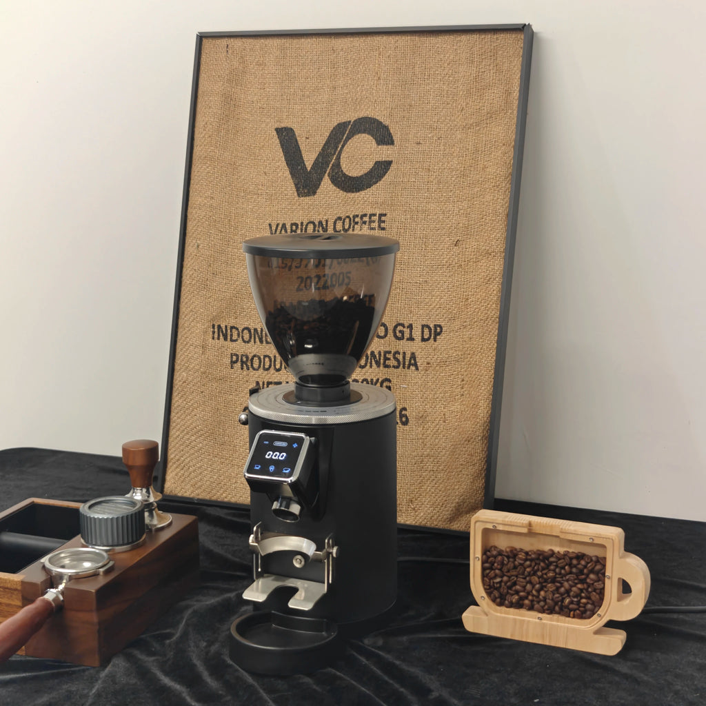DUTRIEUX 60mm Electric Coffee Grinder – 500g, 250W Commercial Electric Coffee Grinder SPOT