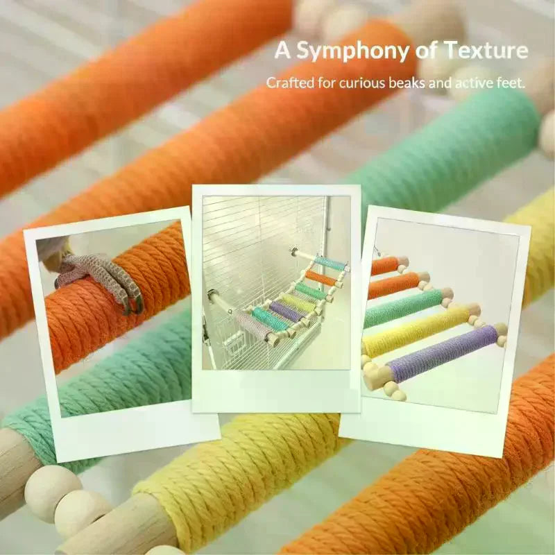 Wooden Parrot Climbing Ladder – Colorful Rope Bird Toy Bird Climbing Toy SPOT