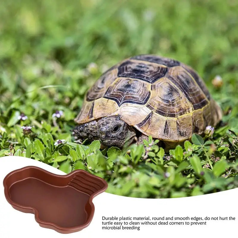 Reptile Feeding Dish & Bathing Pool with Ramp & Basking Terrace Reptile Bathing Dish SPOT