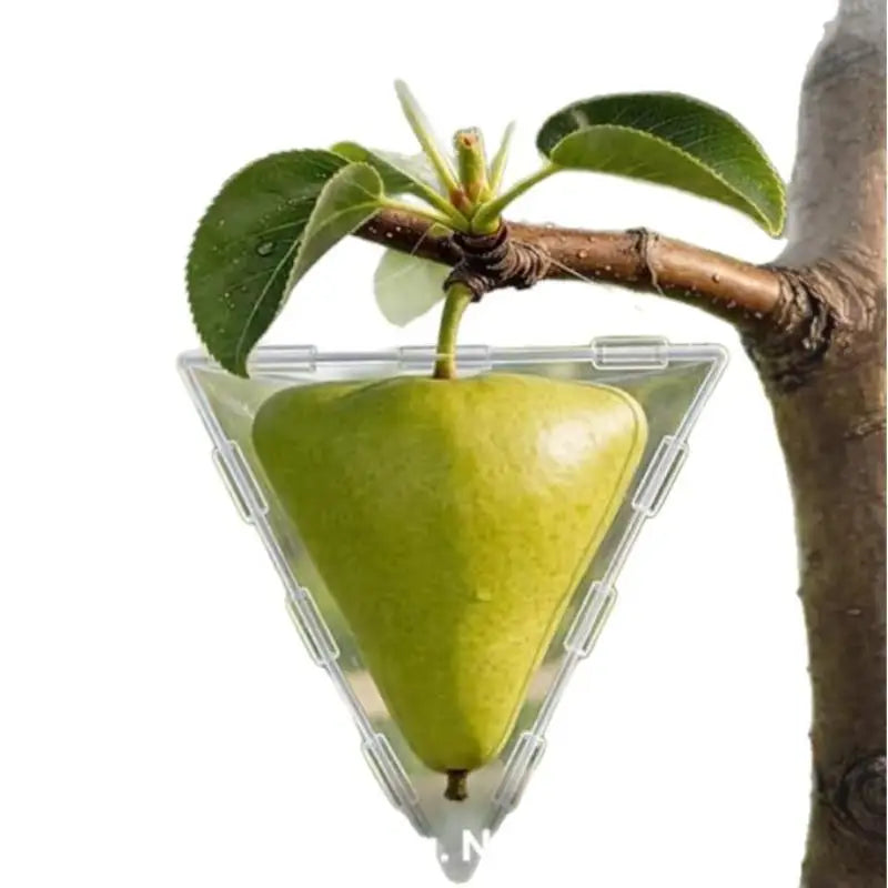 Fruit Shaping Mold – BPA-Free Cube & Triangle Garden Tool Fruit Shaping Mold SPOT