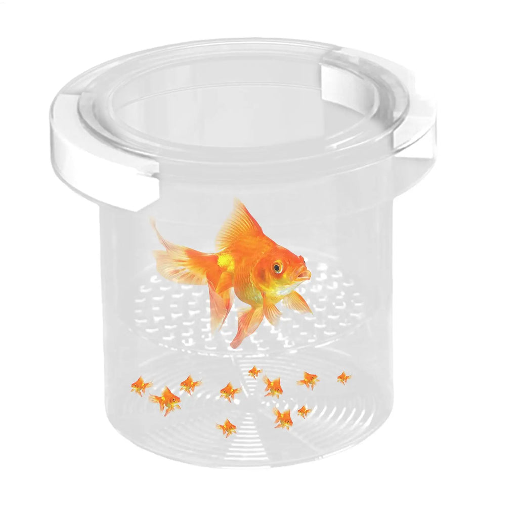 Floating Fish Breeding Box – Aquarium Fry Hatchery Isolator Aquarium Breeder Box SPOT