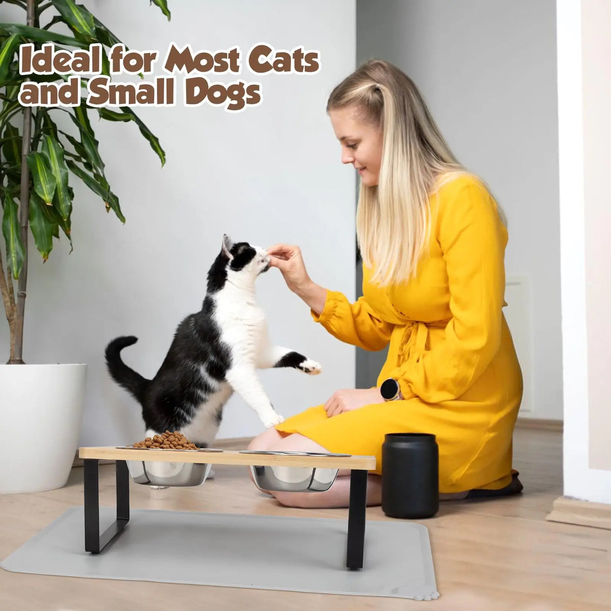 Elevated Cat Bowls with Mat – 15° Tilted Stand & 2 Steel Bowls Raised Cat Feeder SPOT