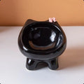 15° Angled Ceramic Cat Bowl – Tilted Ergonomic Feeder Ceramic Cat Bowl SPOT Black