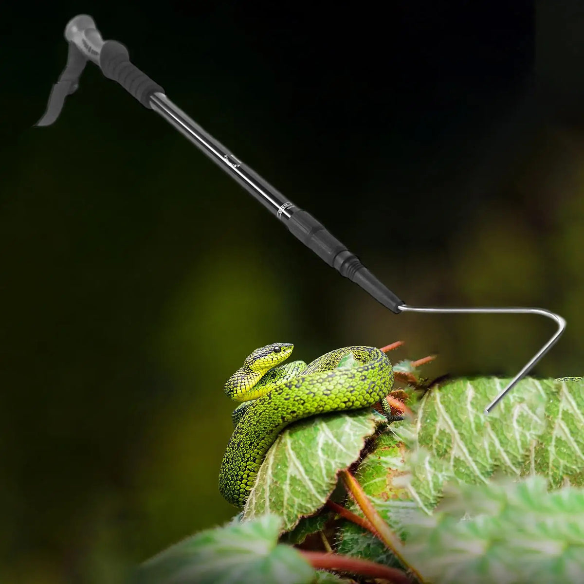 Telescoping Snake Hook – Retractable Stainless Steel 70–140cm Reptile Handling Hook SPOT